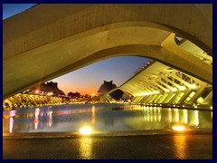 City of Arts and Sciences by night 21